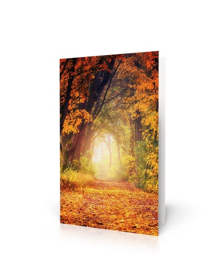 Sterbebild Waldweg Herbst-0